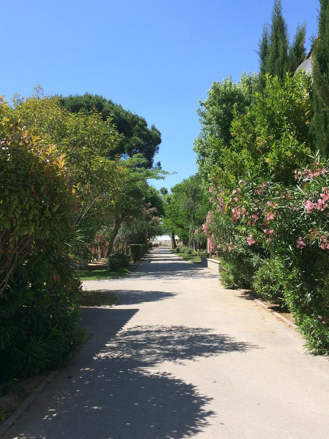 L'Hotel Du Mediterranee أرجيليه- سور- مير المظهر الخارجي الصورة